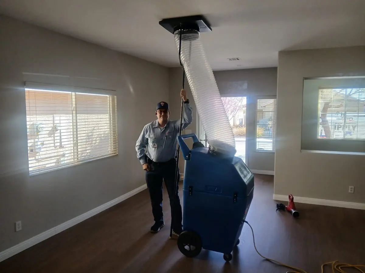 Professional Dryer Vent Cleaning work inside a Sylvania home